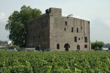 Brömserburg Castle