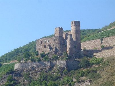 Rovine del castello di Ehrenfels