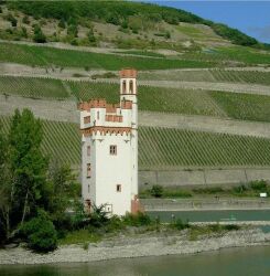 Mäuseturm Toll Tower