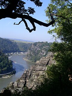 Loreley vom Spitznack